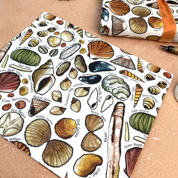 Seashells Of Britain Wrapping Paper Set, 5 of 7