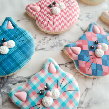 Cat Lover Biscuits Gift Box Fashion Edition, 8 of 10