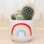 Rainbow Mini Planter With A Plant Christmas Present, thumbnail 1 of 2