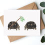 Mistletoe Tortoise Christmas Cards, thumbnail 8 of 10