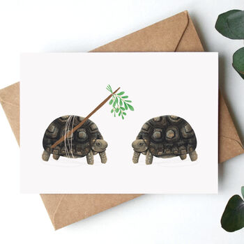 Mistletoe Tortoise Christmas Cards, 8 of 10
