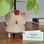 Handmade Teacher Thank You Gift Plant Pencil Pot Chicken, thumbnail 3 of 8