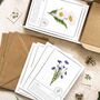 Botanical Wildflowers Postcards Gift Set, thumbnail 1 of 10
