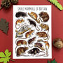 Small Mammals Of Britain Watercolour Postcard, thumbnail 1 of 8