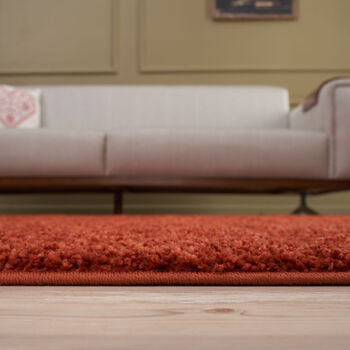 The Rugs Plain Terra Shaggy Rug, 10 of 12