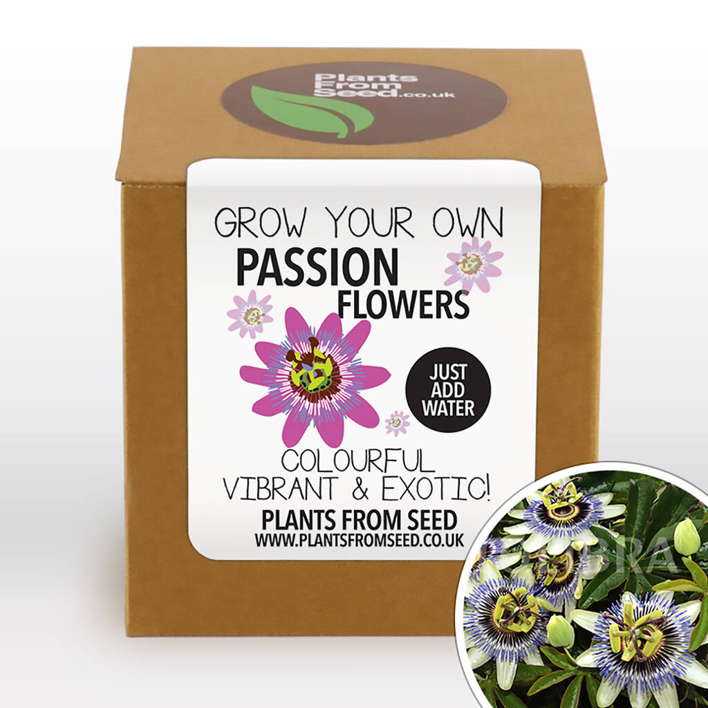 Complete Grow Your Own Passion Flowers Plant Kit By Plants From Seed
