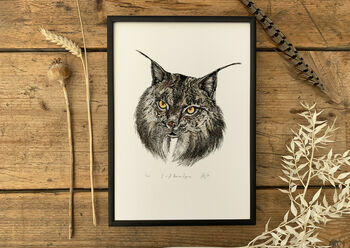 I Is For Iberian Lynx Illustration Print, 2 of 6