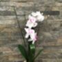 White Artificial Silk Orchid Grey Pot Mothers Day Gift, thumbnail 1 of 6