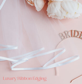 Bride To Be Hen Party Veil, 3 of 3