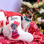 Personalised Party Dog Christmas Present Stocking, thumbnail 2 of 12