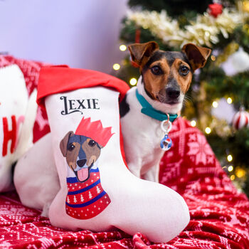 Personalised Party Dog Christmas Present Stocking, 2 of 12