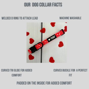 Red Valentine Heart Dog Collar And Lead, 4 of 5