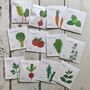 Gardening Gloves And Grow Your Own Veg Seed Gift, thumbnail 5 of 11
