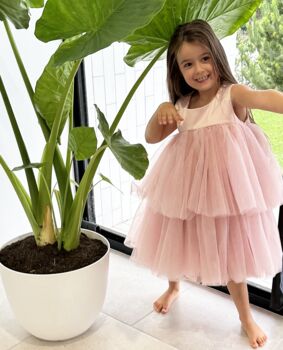 Mia In Dusty Rose ~ Party Or Flower Girl Dress, 4 of 7