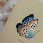 Vintage Feel Butterfly Art Print, thumbnail 9 of 10