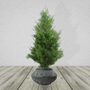 Large Composite Triangle Planter, thumbnail 8 of 8