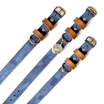 Blue Pooch Pack Collar, 2 of 6