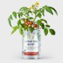 Father's Day Personalised Grow Your Own Vegetables Kit, thumbnail 1 of 6
