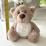 Personalised Animal Alphabet Brown Baby Teddy Bear, thumbnail 9 of 10