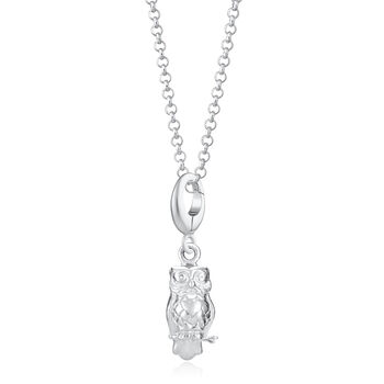 Sterling Silver Wise Owl Charm Necklace, 2 of 7