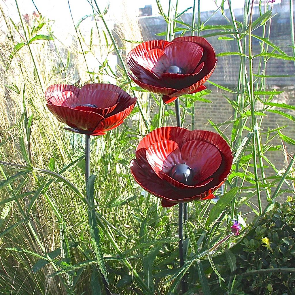 Three Poppy Sculptures By London Garden Trading | notonthehighstreet.com