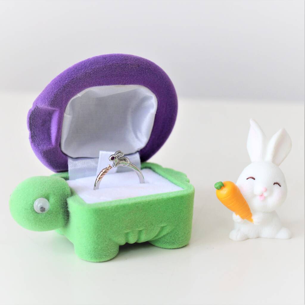 Tortoise And Hare Ring Gift Set, 1 of 4
