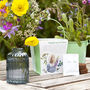 Grow Your Own Wildflower Bouquet And Vase Gift Set, thumbnail 1 of 12