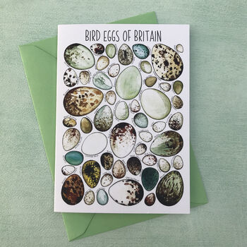 Bird Eggs Of Britain Art Blank Greeting Card, 6 of 12
