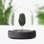 Tektite Meteorite Authentic Space Meteor Fragment Bell Jar, thumbnail 1 of 4