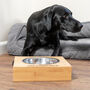 Personalised Home Is Large Pet Bowl, thumbnail 2 of 3