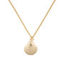 Dainty 18 K Gold Filled Shell Clam Necklace, thumbnail 2 of 6