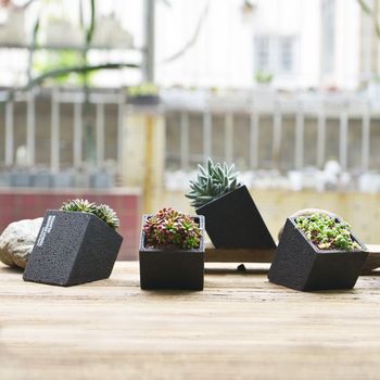 Black Concrete Planter With Choice Of Plant, 4 of 8