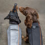 Dachshund Dog Technical Fleece Coat, thumbnail 2 of 8