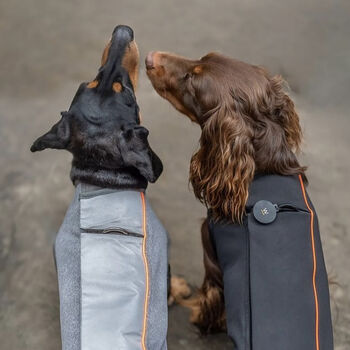 Dachshund Dog Technical Fleece Coat, 2 of 8