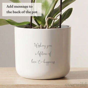 Personalised Wedding Day Gift | Indoor Pot Add Plant, 6 of 7