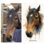 Personalised Dog, Horse And Pet Watercolour Portrait, thumbnail 12 of 12