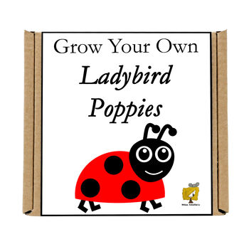 Gardening Gift. Grow Your Own Ladybird Poppies, 4 of 4