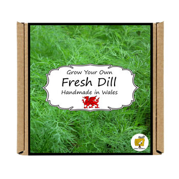 Herb Garden Dill Growing Kit. Gardening Gift, 4 of 4