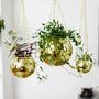 Gold Disco Ball Hanging Planter, thumbnail 1 of 4