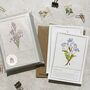 Set Of Six Different Purple And Blue Floral Notecards, thumbnail 1 of 11