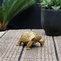 Gold Decorative Tortoise, thumbnail 4 of 4