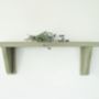 Vintage Painted Wooden Shelves, thumbnail 4 of 5
