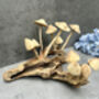 20cm Hand Carved Wooden Mushroom Figurine Coffee Root Wood, thumbnail 5 of 12