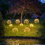 Dandelion Garden Solar Lights, thumbnail 2 of 4