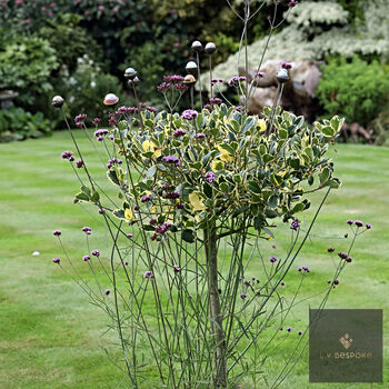Marble Suncatcher Perfect For Adding Colour And Movement To Your Garden, 9 of 12