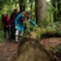 Forest Bathing Experience For Two In Kent, thumbnail 3 of 5