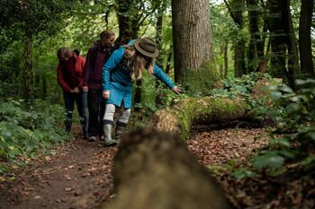 Forest Bathing Experience For Two In Kent, 3 of 5