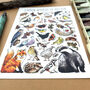 Gardens Wildlife Of Britain Watercolour Postcard, thumbnail 11 of 11