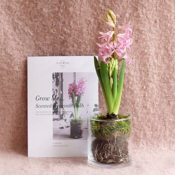 Grow Me: Gift Box Of Scented Hyacinth Bulb And Vase, 3 of 6