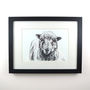 Five Framed Pen And Ink Illustrations Of Farm Animals, thumbnail 10 of 11